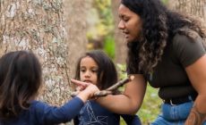 Maori mum and children are out in nature, gesturing to tree bark and talking 